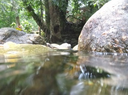 Rio agua thiên nhiên