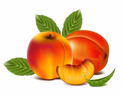 Ripened peach download