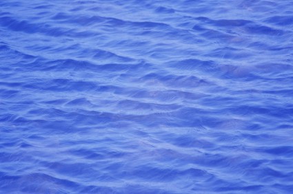 青い水を波打つ