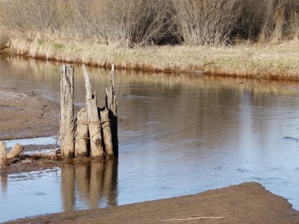 河流水木質電線杆