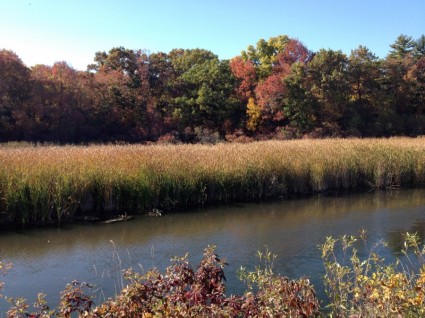 riva del fiume in autunno
