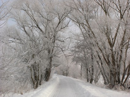 الطريق في فصل الشتاء