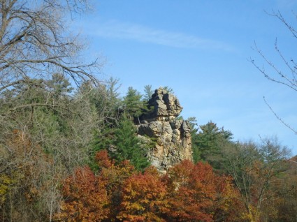 岩の崖の木 々の間