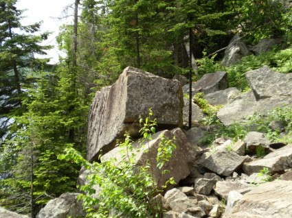 岩の表面