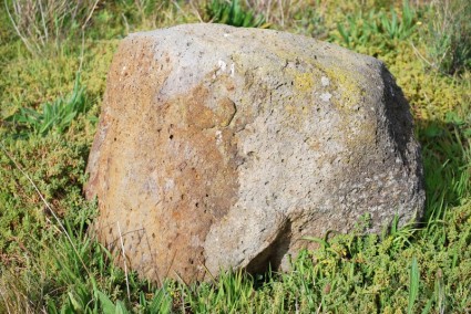 صخرة في العشب