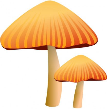 rockraikar 橙色蘑菇剪貼畫