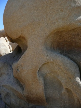 nature rocheuse crâne