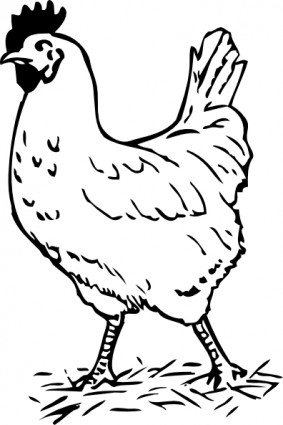 Rooster ClipArt