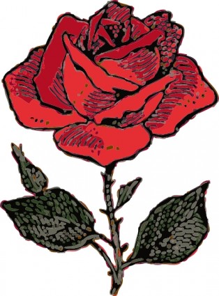 Róża clipart