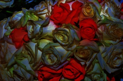Завод Цветок розы