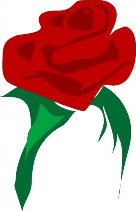 clipart de rosa flor vermelha