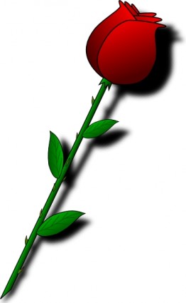 Bunga Mawar Merah Clip Art Vektor Gratis Download Gambar