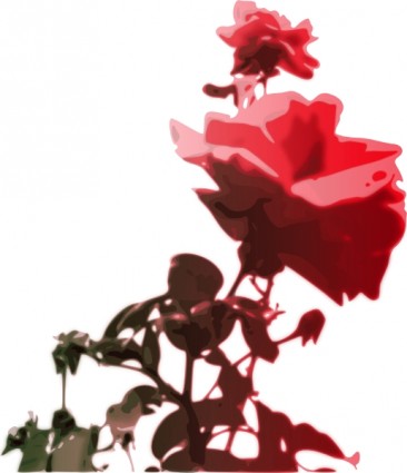 Hoa hồng clip nghệ thuật