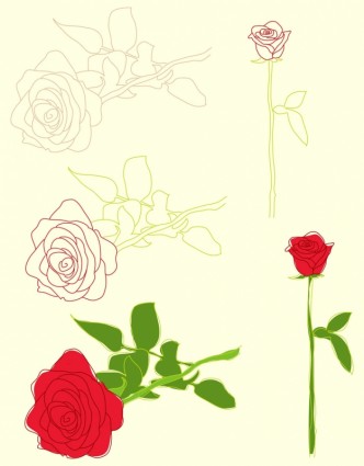 الرسوم التوضيحية الورود