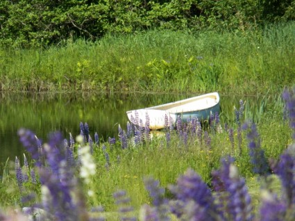 Ruderboot im Teich