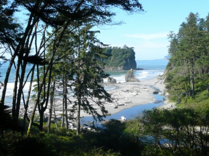 plage rubis olympic national park