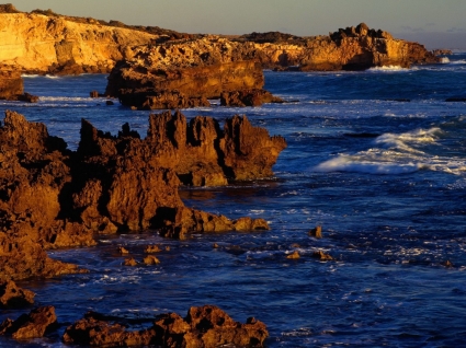 醉醺醺的溝壑壁紙澳大利亞世界在崎嶇的海岸線