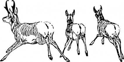 en cours d'exécution antilope clipart