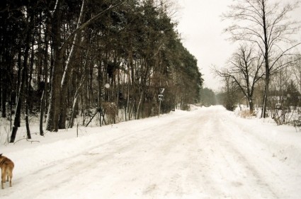 Ländliche Straße nahe lublin