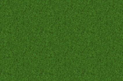 Rasen Gras Textur