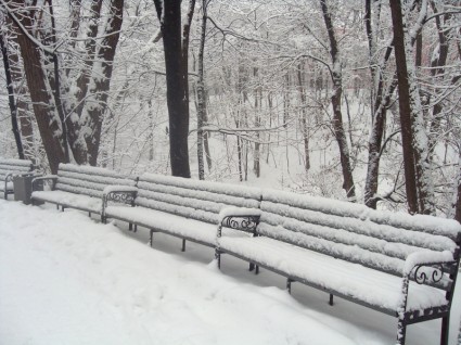 ロシアの冬公園