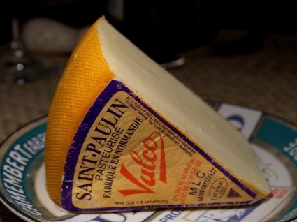 Saint paulin nourriture de produit de fromage lait