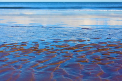 tekstur pasir dan laut