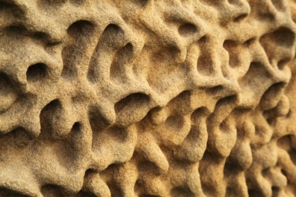 砂岩の浸食