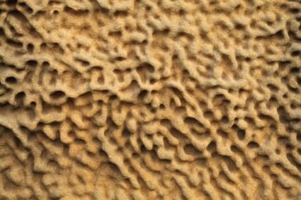 batu pasir erosi pola