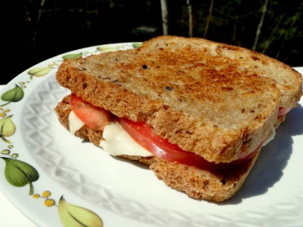 питание сэндвич на гриле сыр