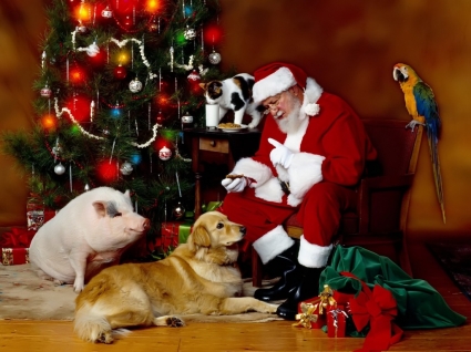 Santa Klaus Bilder-Weihnachtsferien
