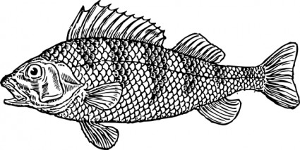 うろこ状の魚のクリップアート
