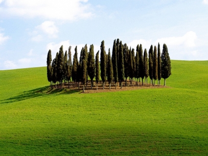 landschaftlich Siena Provinz Tapete Italien Welt