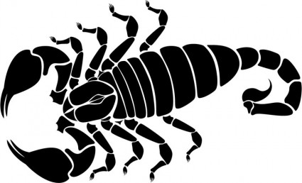 imagen de vector de escorpión