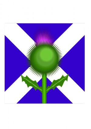 Scottish Thistle And Flag