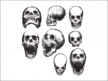 cráneos de garabato