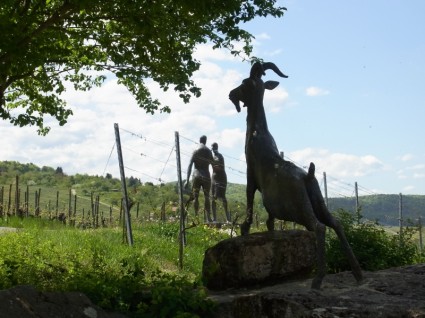 雕塑的葡萄園葡萄酒