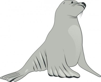 Hotel Sea lion clipart