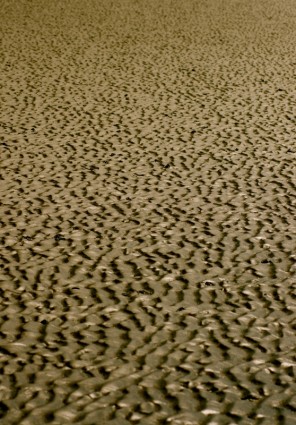 морской песок Уоттс