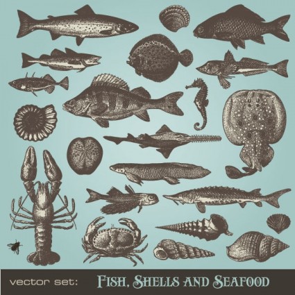 морепродукты животных вектор