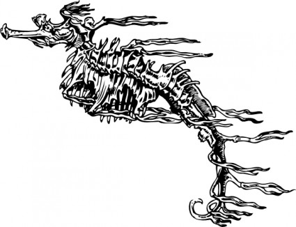 ClipArt scheletro cavalluccio marino
