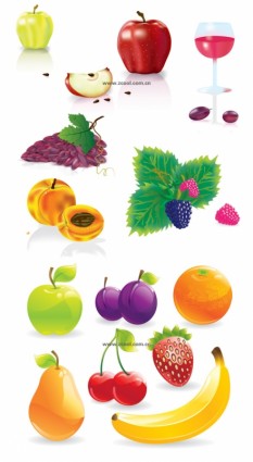 diversi frutti comuni vettoriali