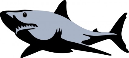 cá mập