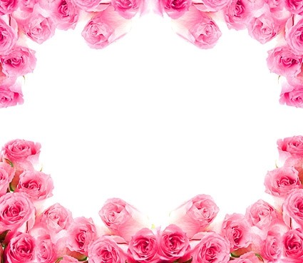 сторона картины розовых роз