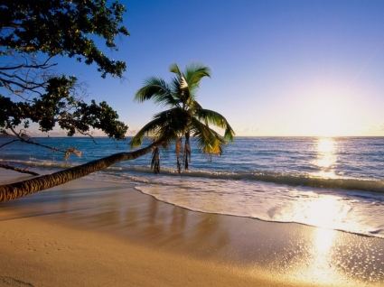 mondo seychelles silhouette isola carta da parati