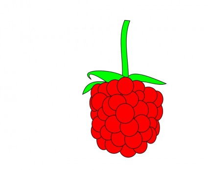 raspberry sederhana