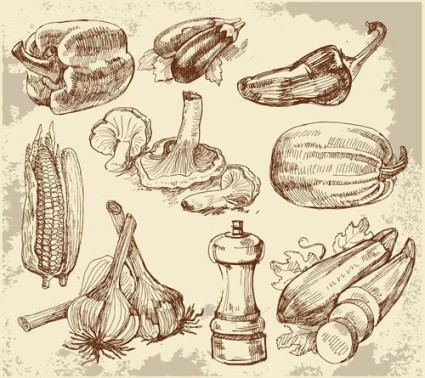 Skizze Küche Vektor