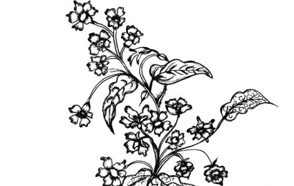 Sketchy Flowers