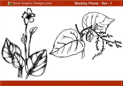 skizzenhafte Pflanzen