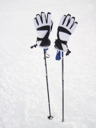 bastoncini da sci con guanti